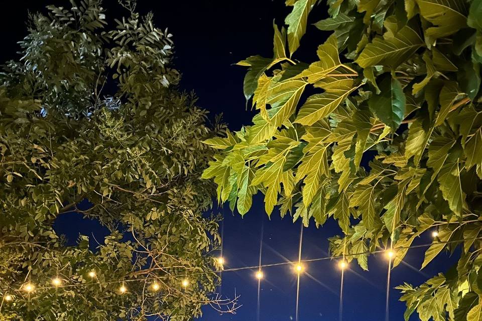 Vue tombée de la nuit