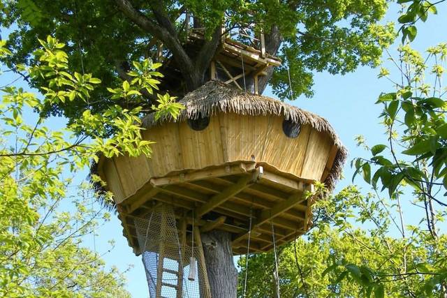 Cabane