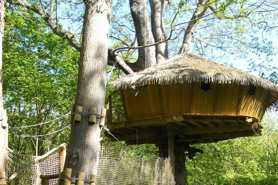 Cabane