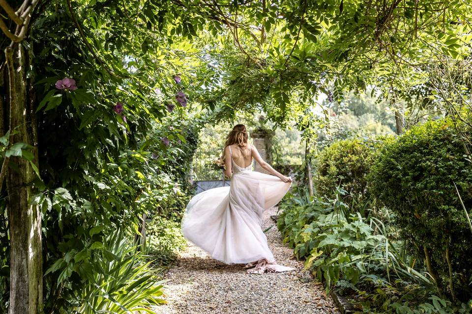 Whisteria Arbor