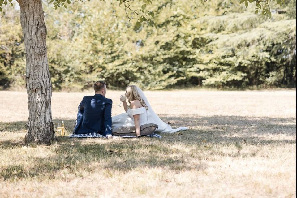 Picnic magic