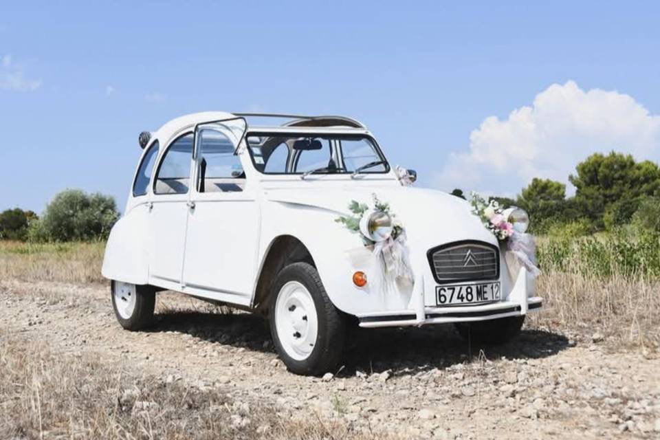 Une 2CV mille histoires
