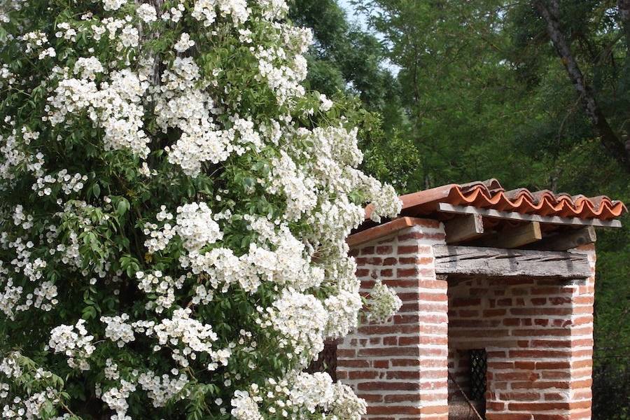 Début juin au Domaine