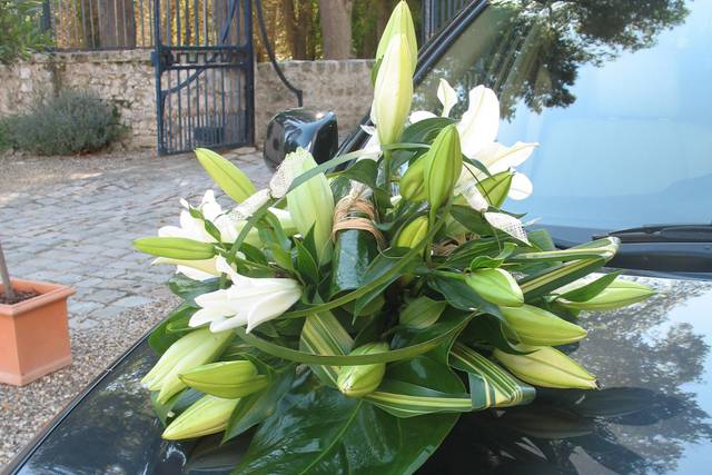 Capot de voiture