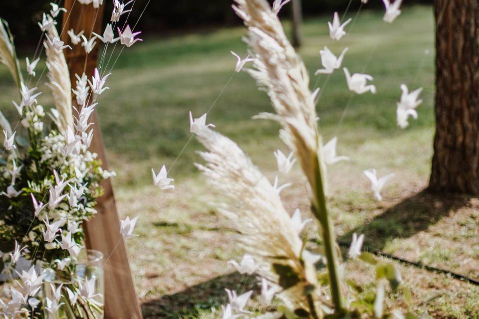 Fleurs de l'arche