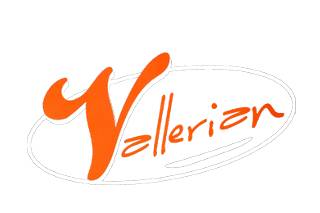 Boulangerie Pâtisserie Vallerian logo bon