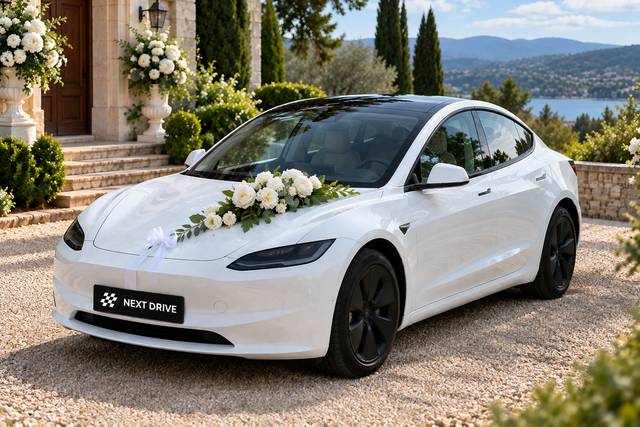Tesla Model