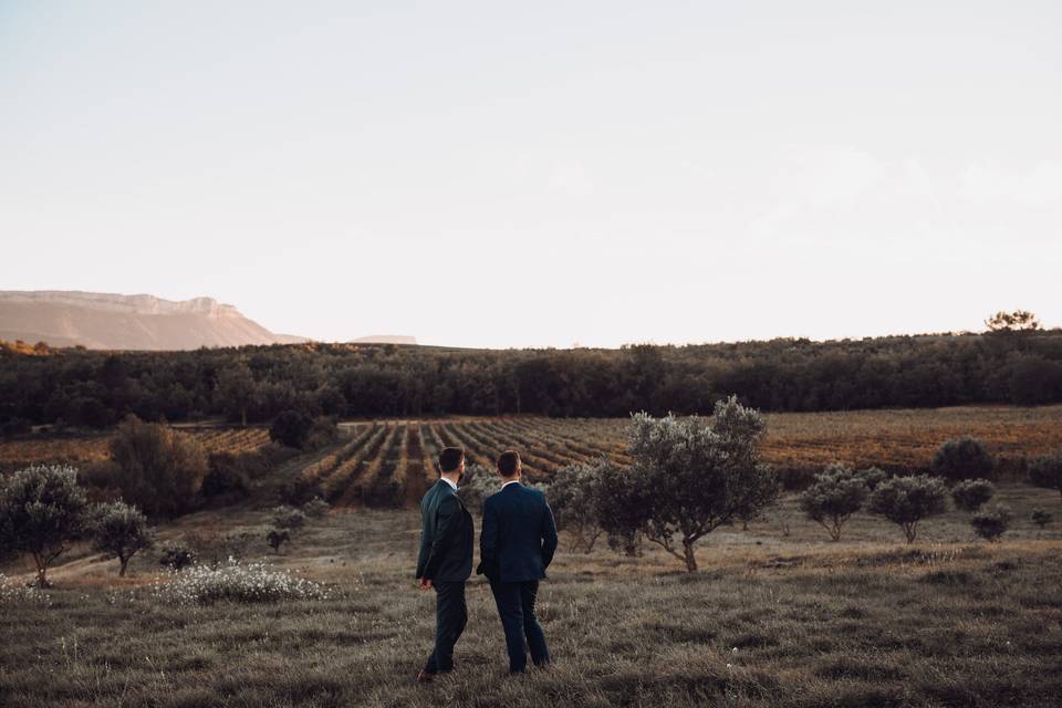 Nos amoureux dans les vignes