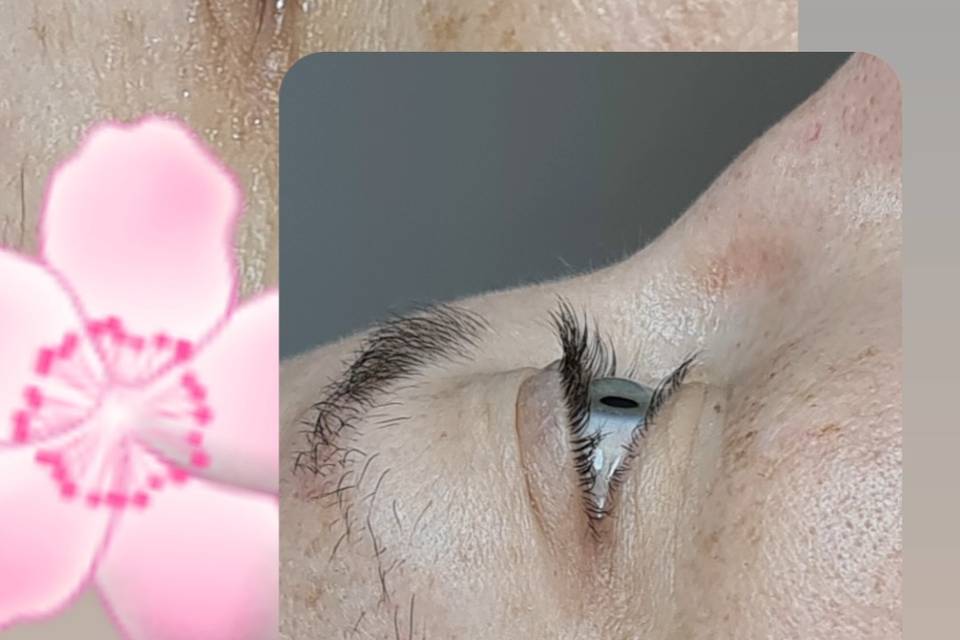 Réhaussement de cils