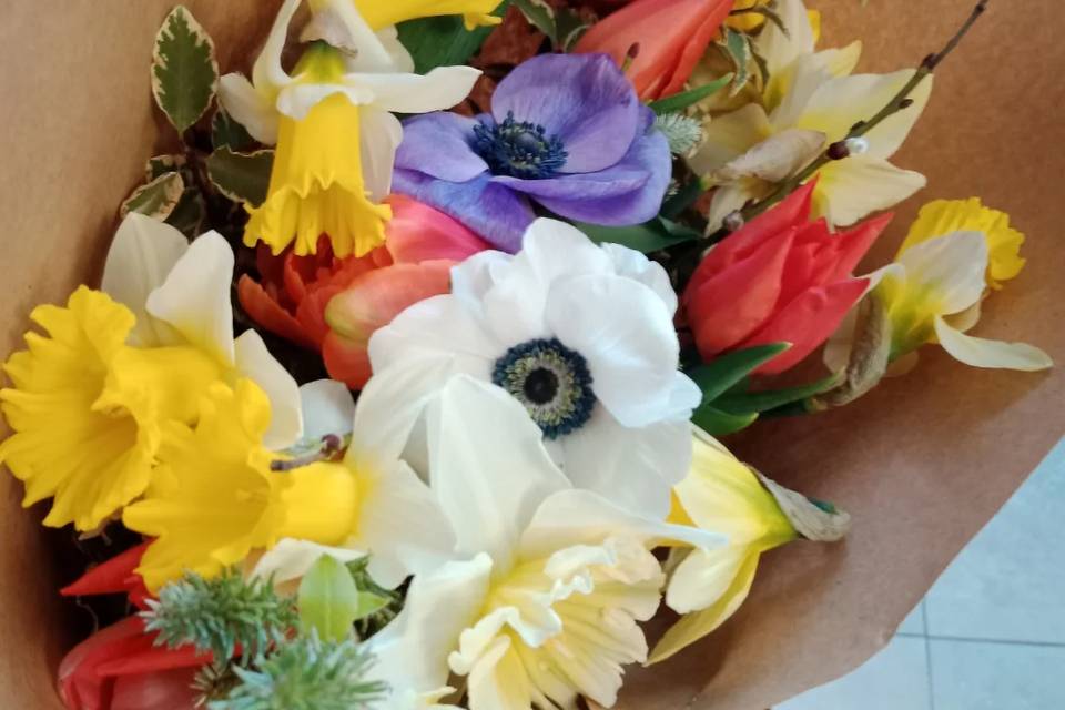 Fleurs locales