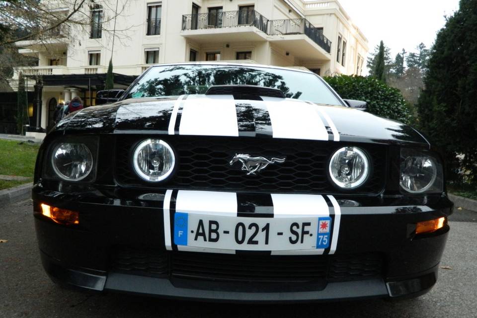 Mustang 2007