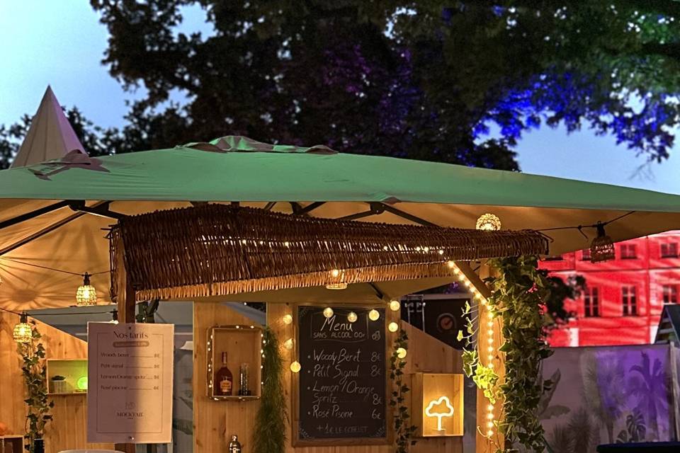 Ambiance nocturne sur festival