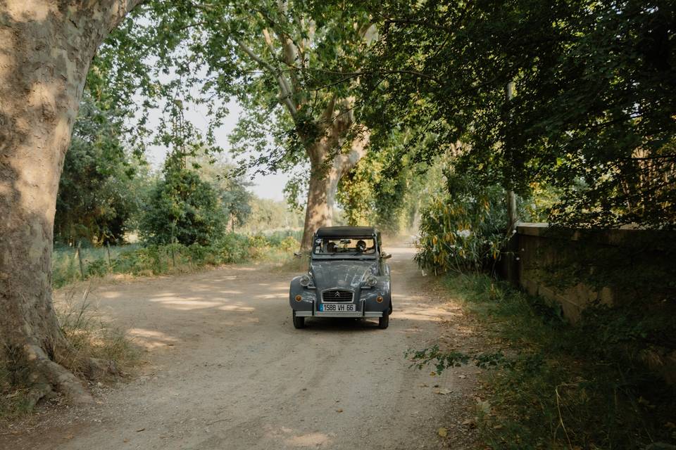 L'arrivée des mariés