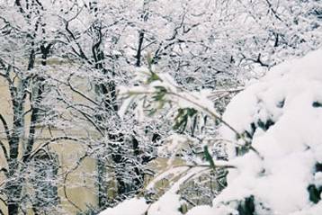 Vue sur le château en hiver