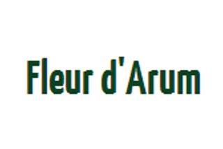 Fleur d´Arum