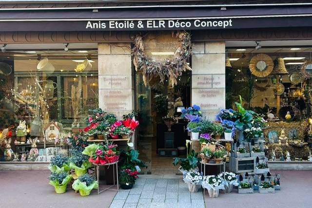 Anis Etoilé