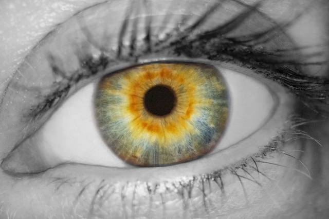 Iris pour cadeaux originaux