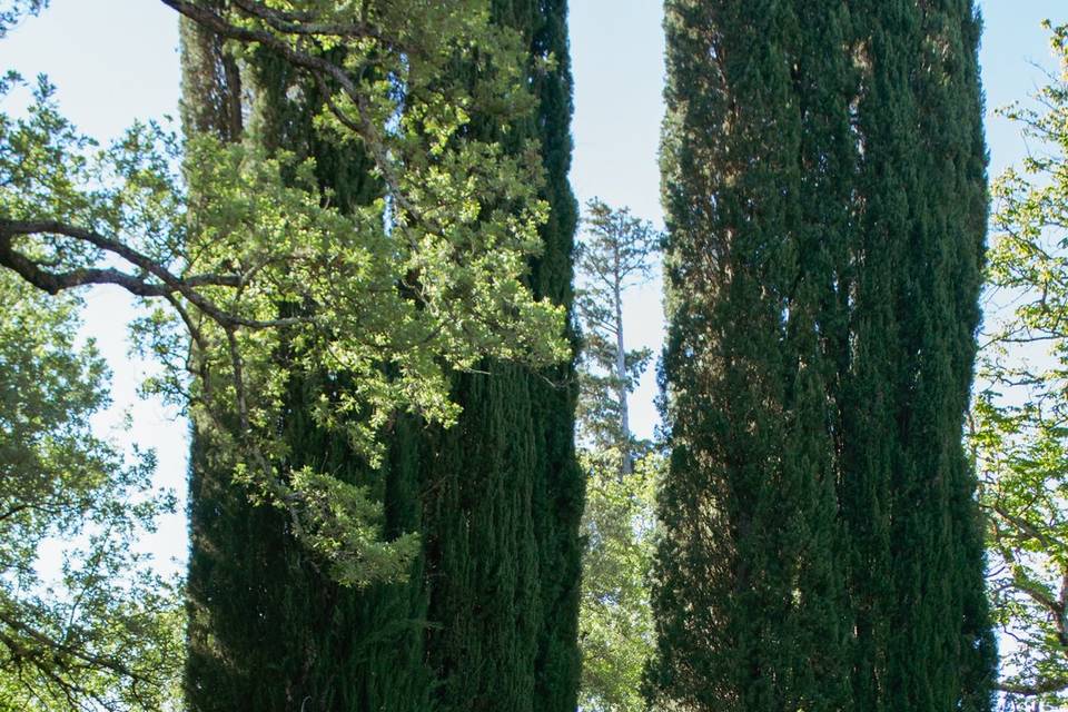 Château de Pradines