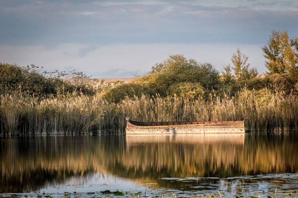 L'etang et sa barque