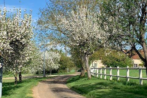 Le chemin qui mène au domaine