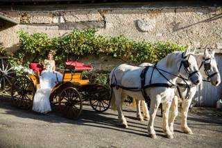 Les Calèches des Chevaux de Bois