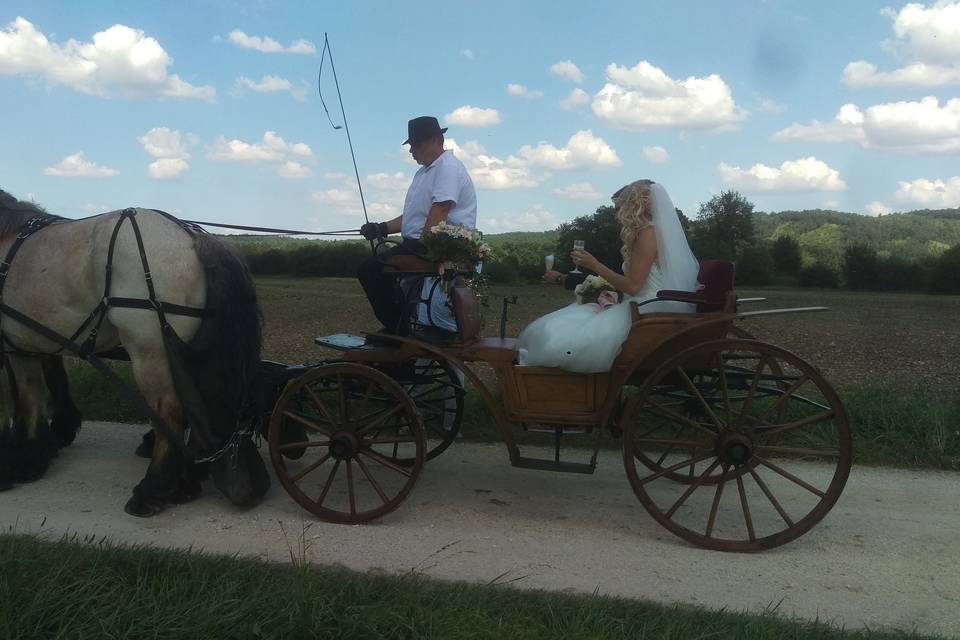 Les Calèches des Chevaux de Bois