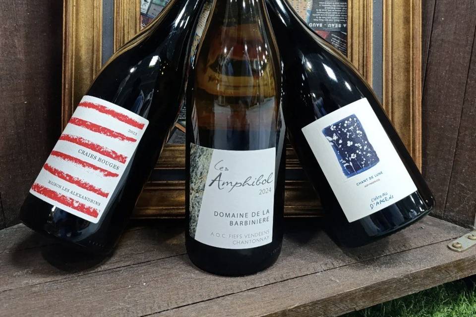 Vins