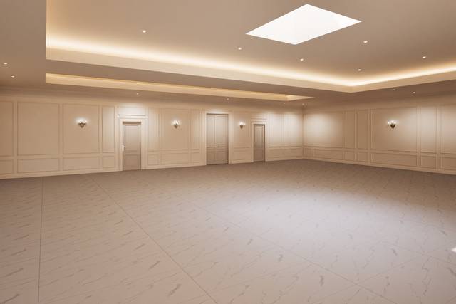 ARYA RECEPTION salle vide