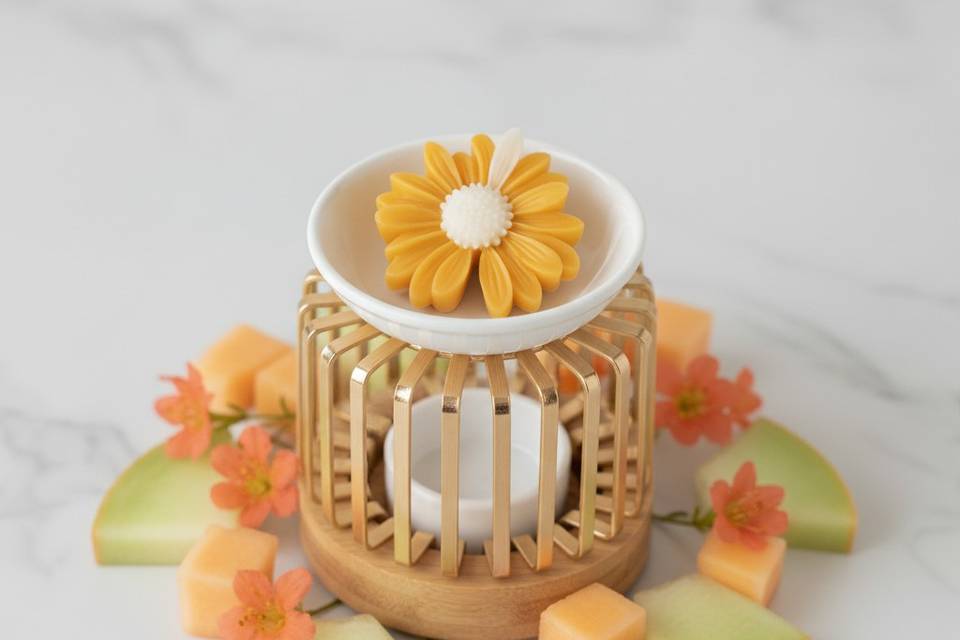 Fondants melon