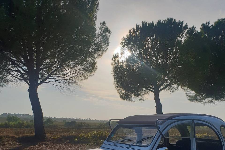 2cv6 blanche capote rouge