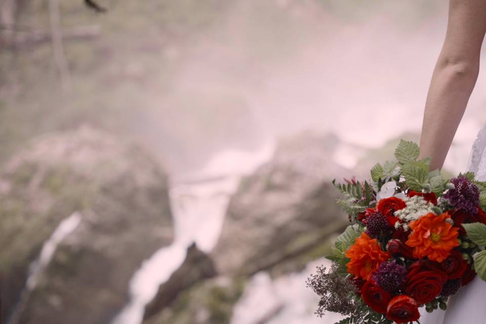 Dans les embruns de la cascade