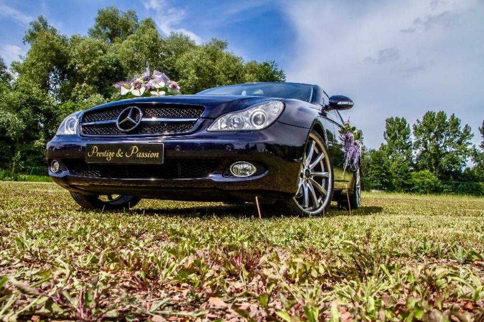 Porsche Panamera&Mercedes CLS