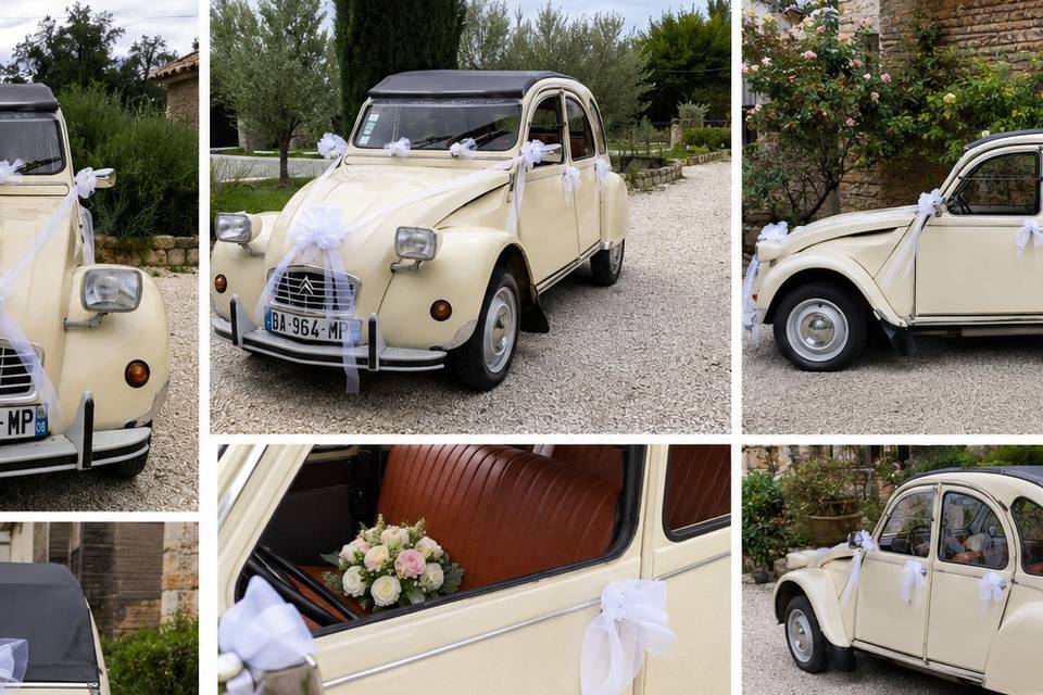 2cv