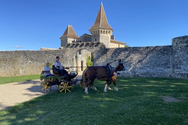 Château Flojague