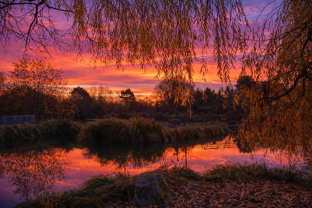 Couché de Soleil