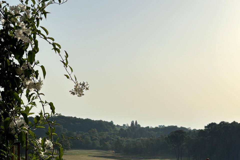 Vue sur le parc au petit matin