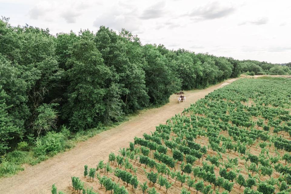 Arrivée des mariés
