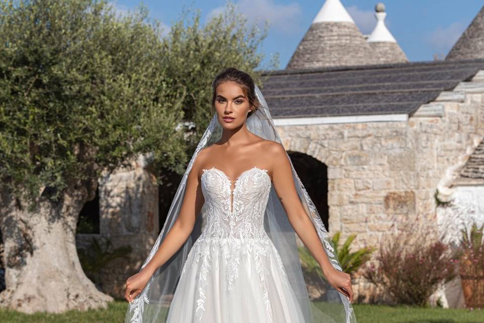 Collection 2025 Divina Sposa