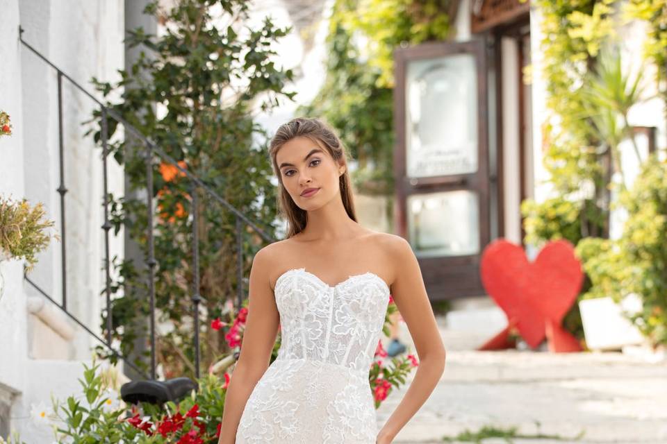 Collection 2025 Divina Sposa