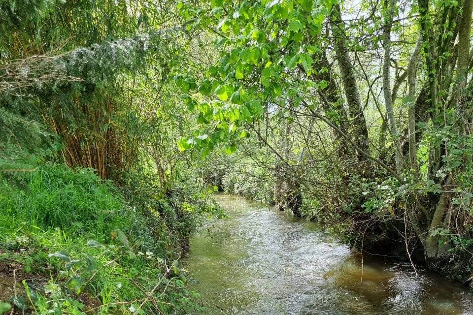 Et au milieu coule une rivière