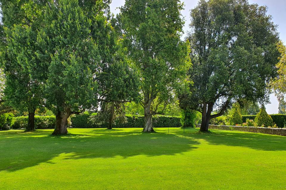 Parc sous les chênes