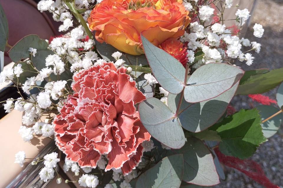 Idée décoration