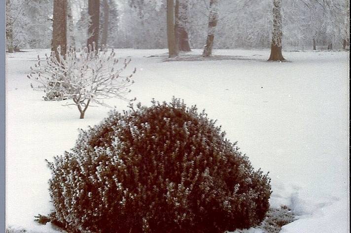 Le Parc en hiver