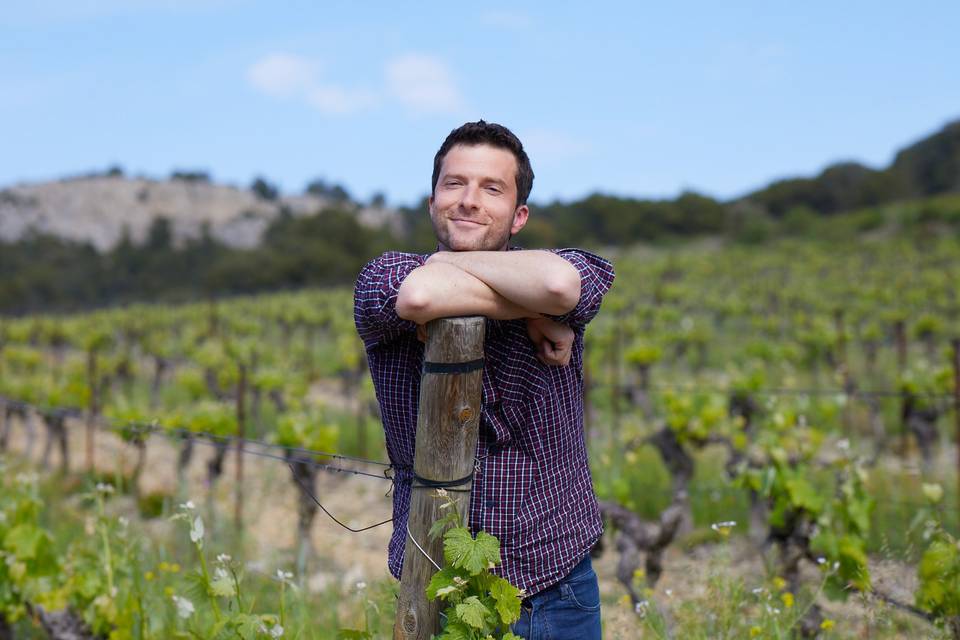 Max vigneron du domaine