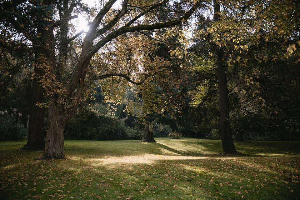 Parc - Golden Hour