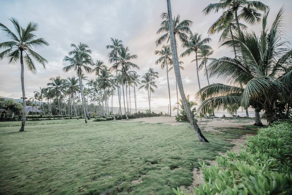 Paysage cérémonie laîque