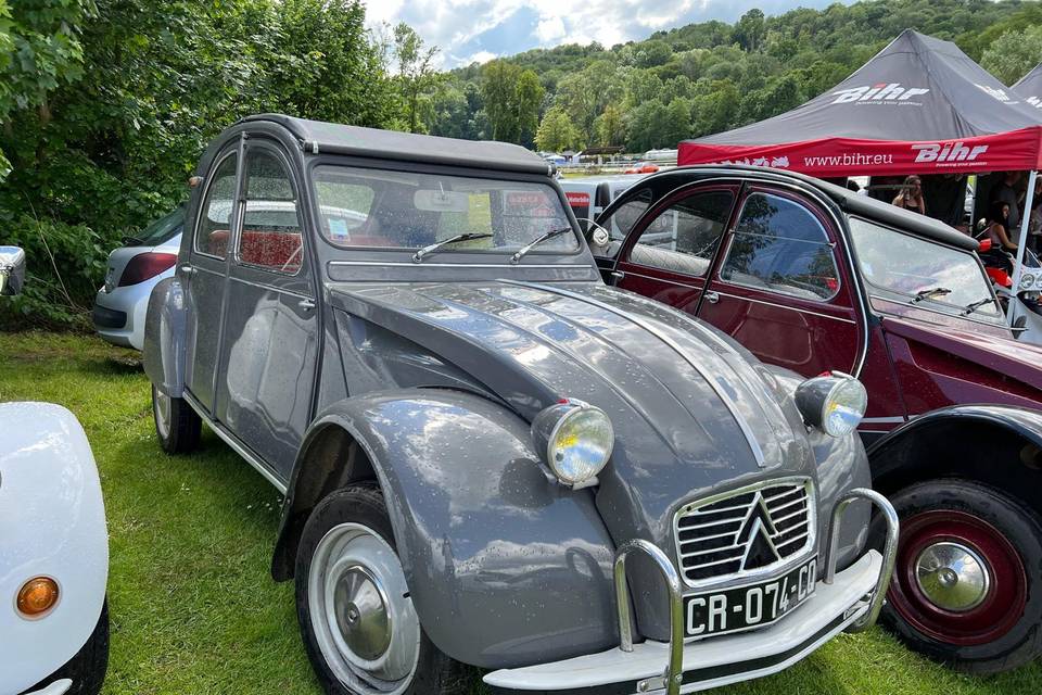 2cv Grise ancienne