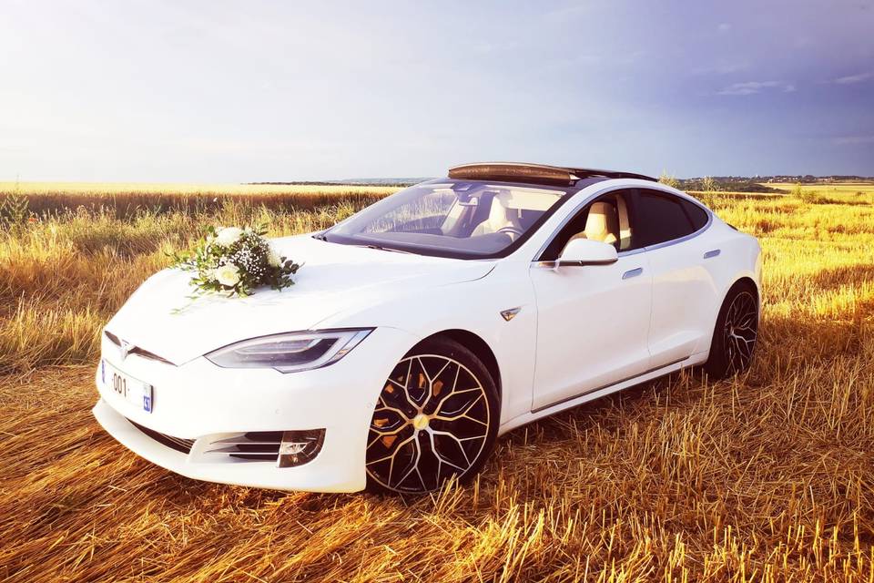 Tesla modèle S