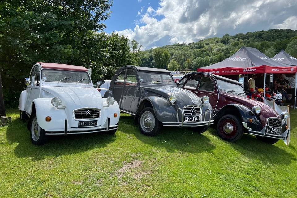 2cv différents modèles dispo