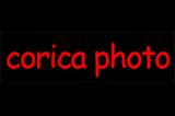 Corica Photo